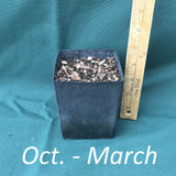 4 x 5 in. (32 fl. oz.) nursery container with a dormant Fewflowered Milkweed plant from October through March